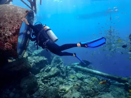 ocean-lens-4.jpeg